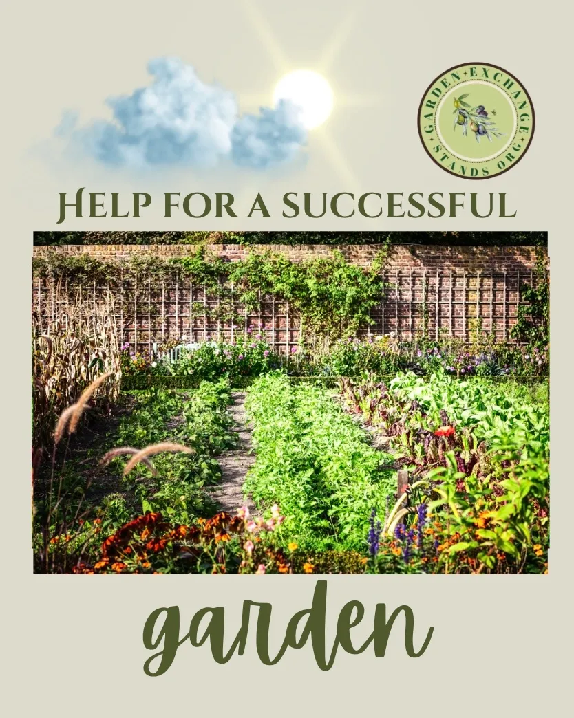 Some suggestions to help you along the way